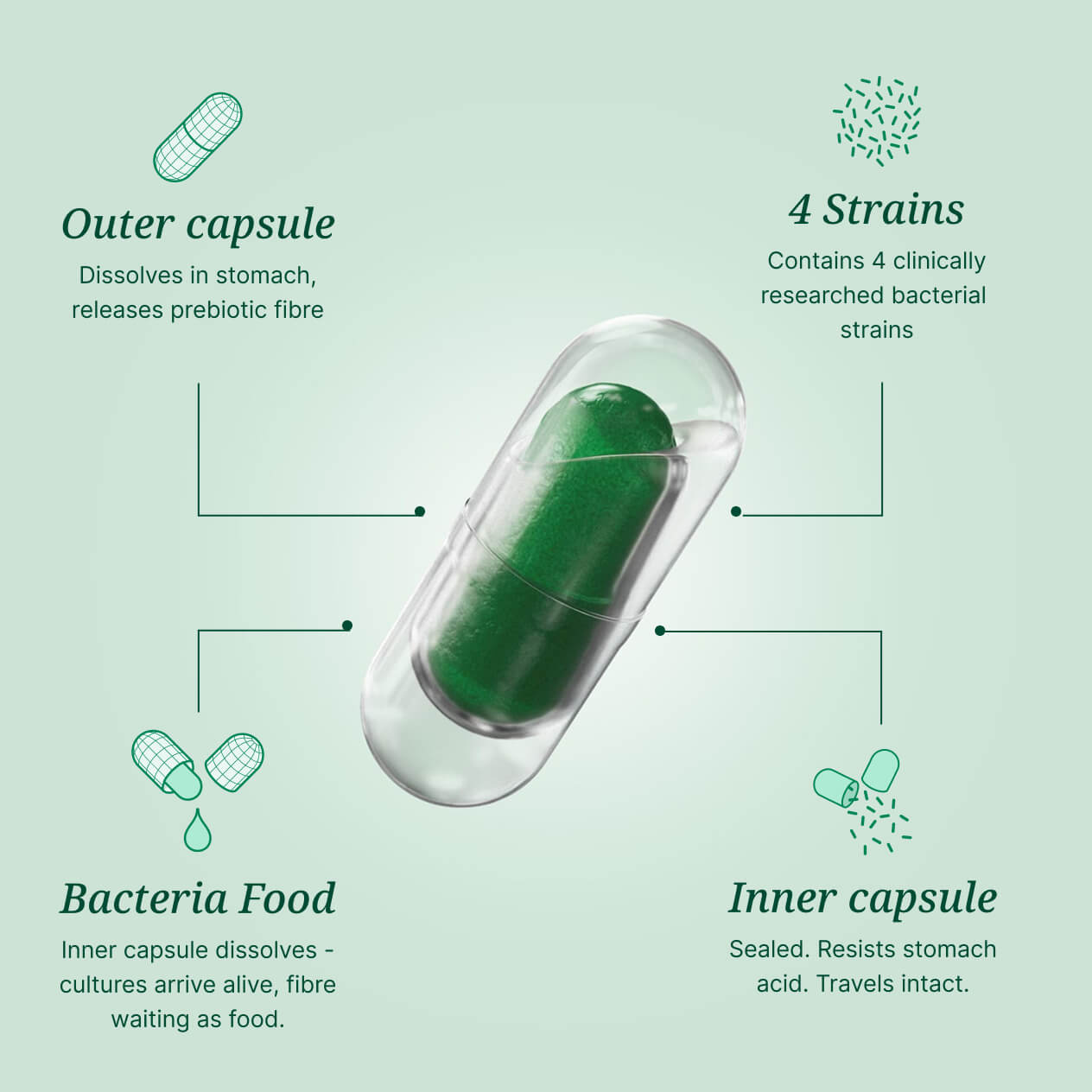Rhowell + Duocap capsule
