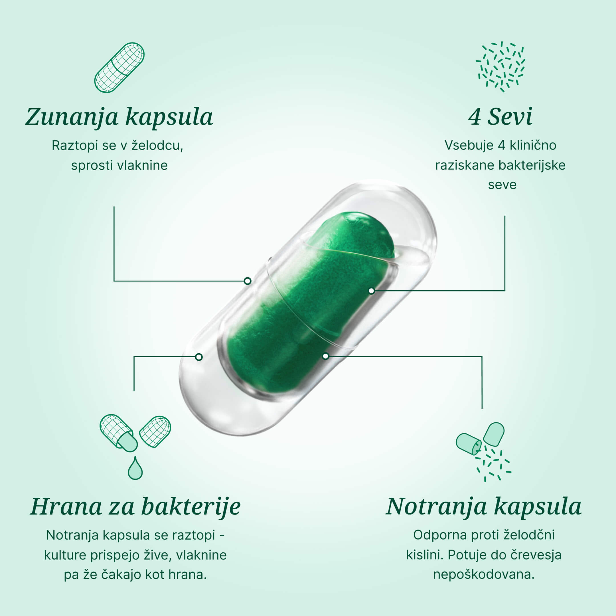 Rhowell + Duocap capsule